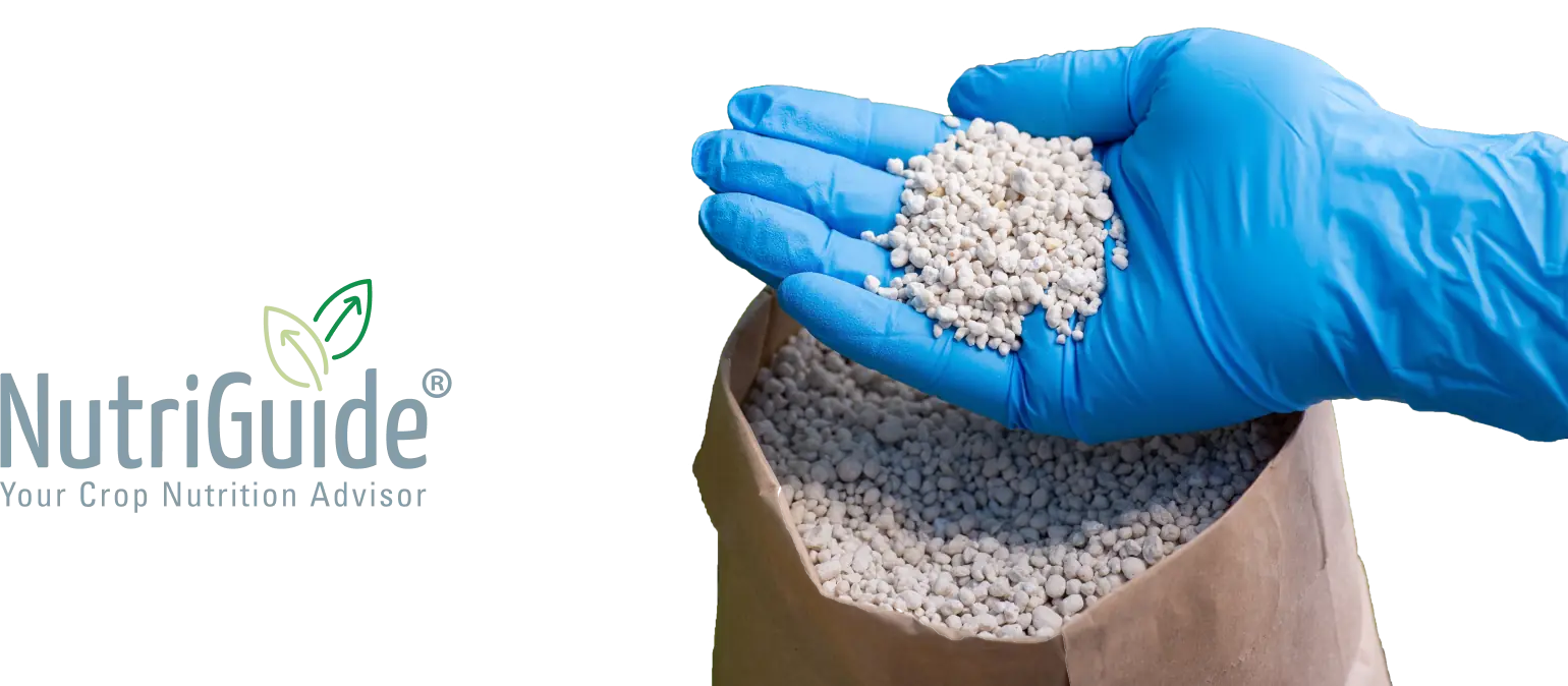 Integrare AgroCity cu NutriGuide