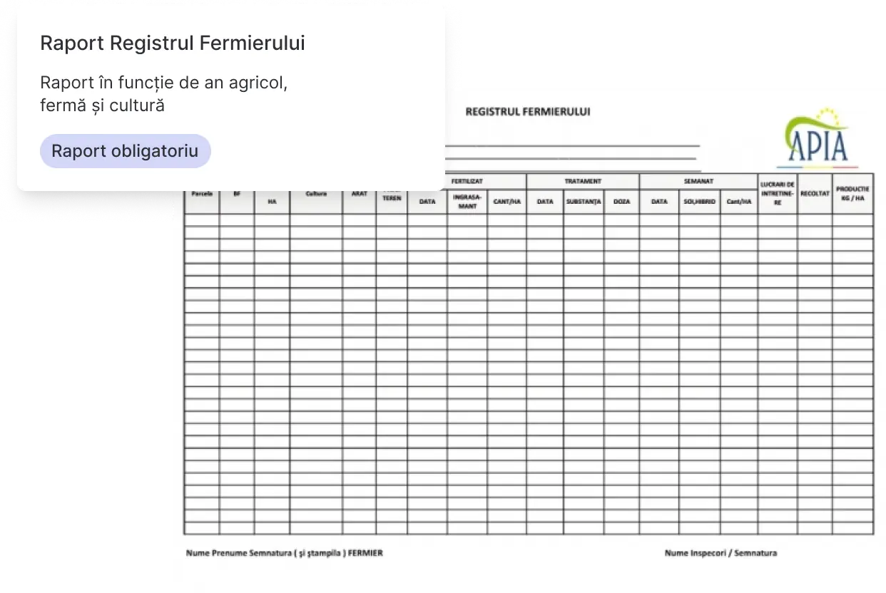Generare automată rapoarte